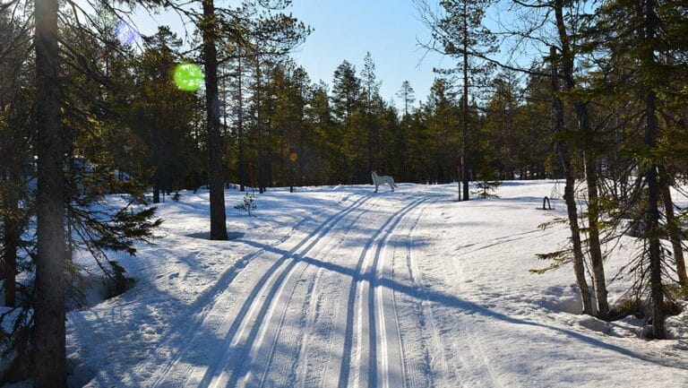 Läs mer om artikeln Med sparken på blankis