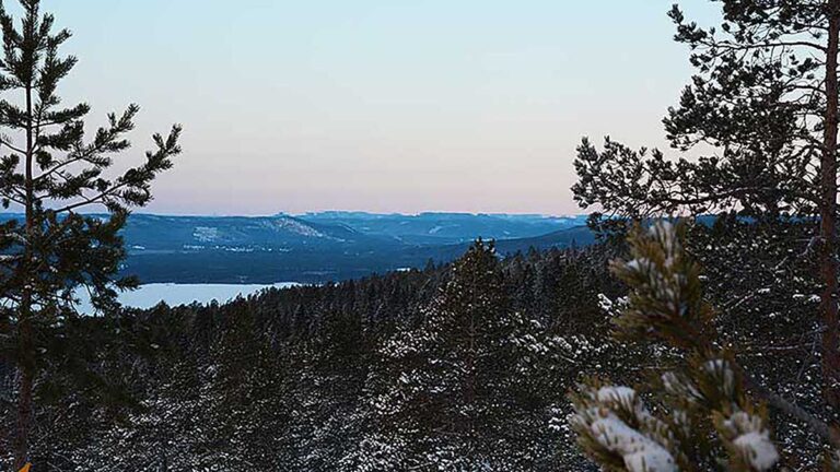 Läs mer om artikeln Traditionellt landskap