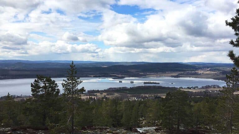 Läs mer om artikeln Lyckad parning