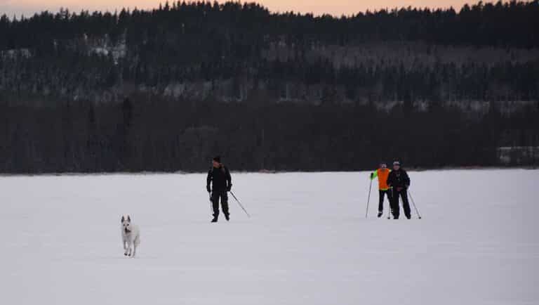 Läs mer om artikeln Skidskoåkning på sjön