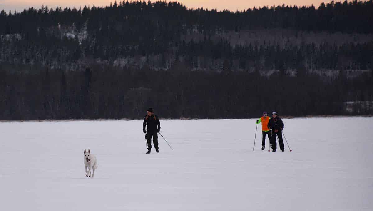 You are currently viewing Skidskoåkning på sjön