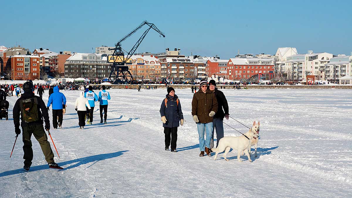 You are currently viewing Luleå on ice