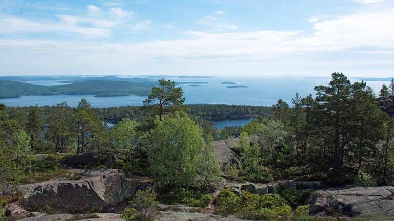 Läs mer om artikeln Slåttdalsskrevan en solig dag i juni