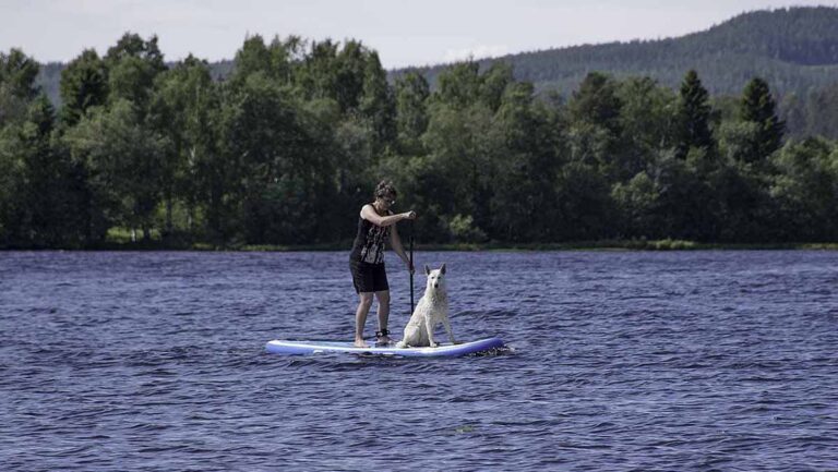 Läs mer om artikeln Vattenlek i sommarvärmen