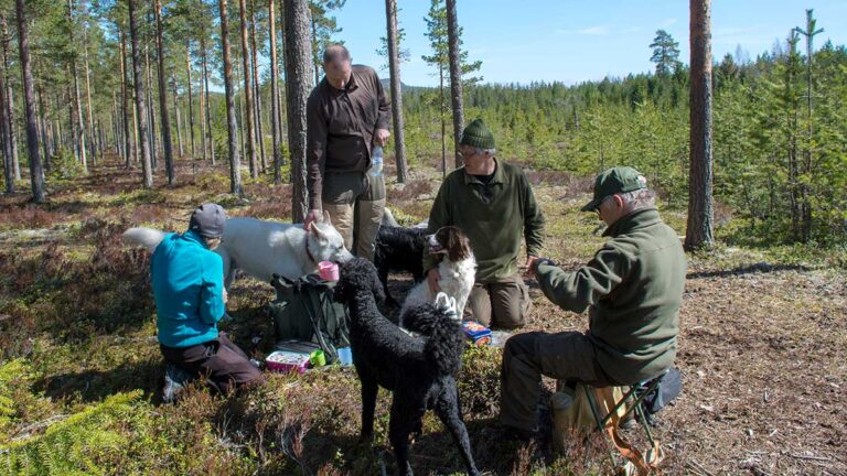 Läs mer om artikeln Komplicerad fikastund