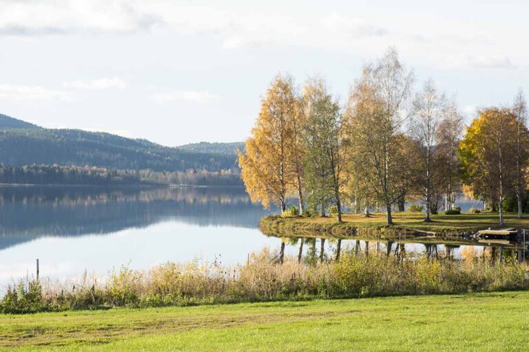 Läs mer om artikeln 144: Höstdag (241/365)