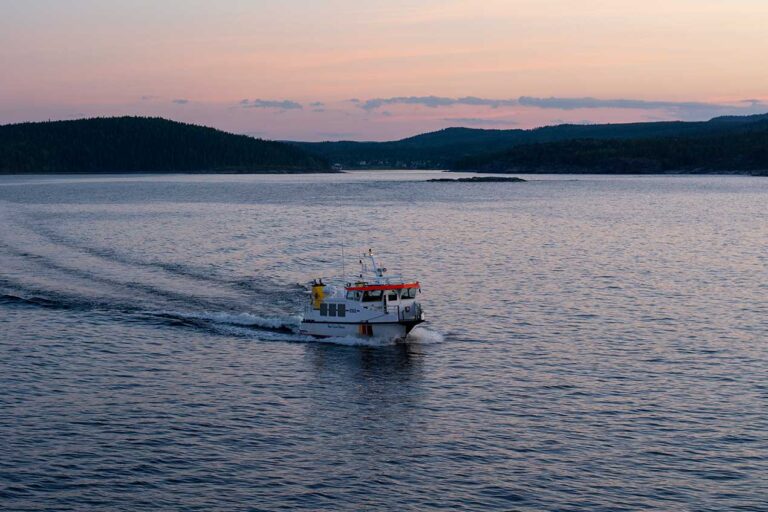 Läs mer om artikeln 165: Lokaltrafik (151/365)