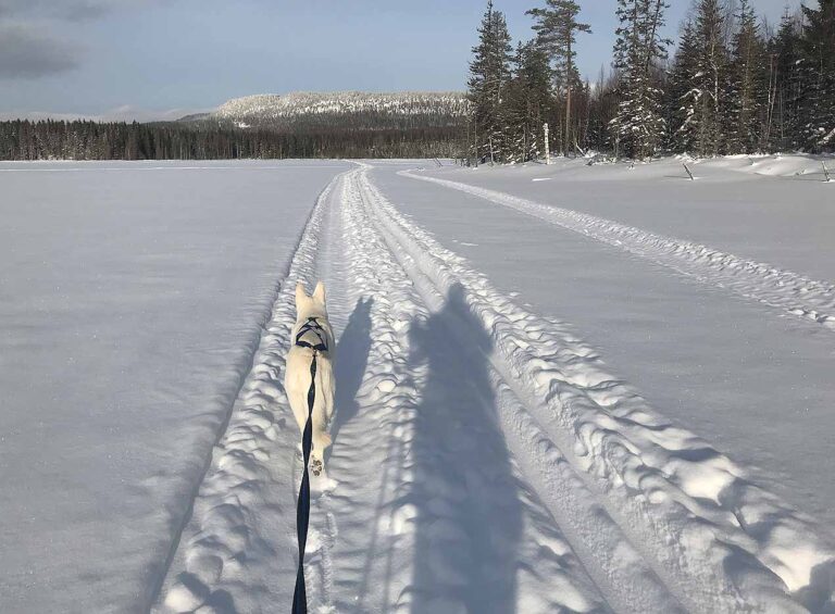 Läs mer om artikeln 167: Långt bort och nära (44/365)