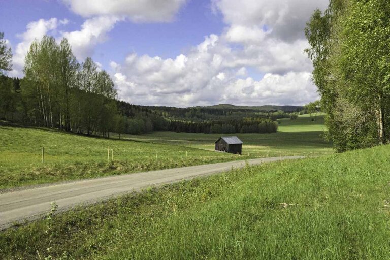 Läs mer om artikeln 199: Landsbygd (144/365)