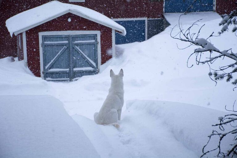 Läs mer om artikeln 243: Sittplats (38/365)