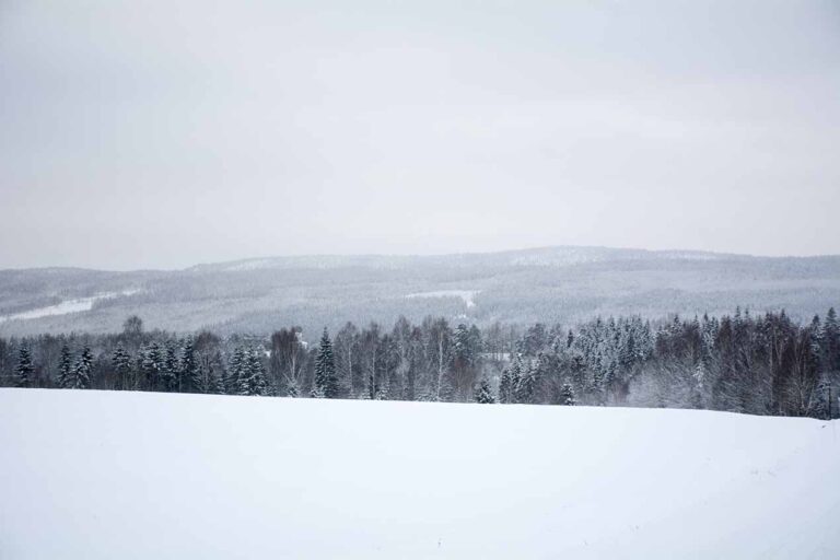 Läs mer om artikeln Eget tema #30: Monokromt landskap (343/365)