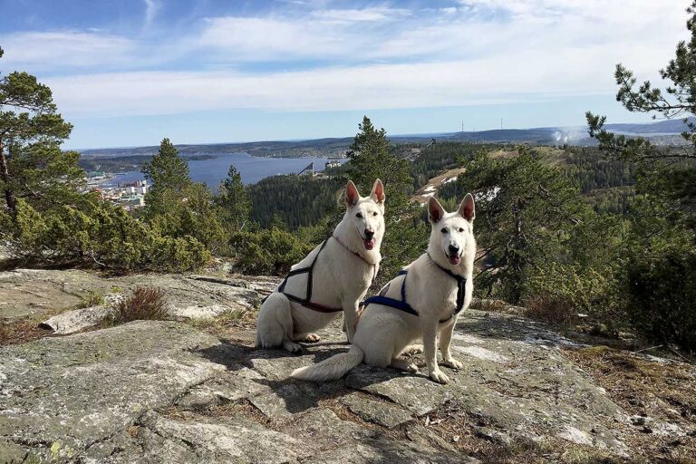 Läs mer om artikeln 320: Tillsammans (142/365)