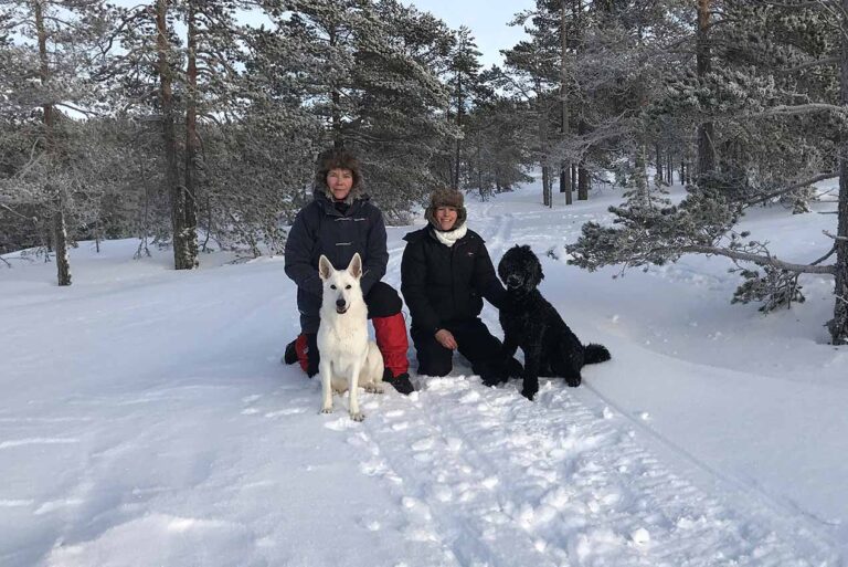 Läs mer om artikeln 334: Vinterpromenad (10/365)