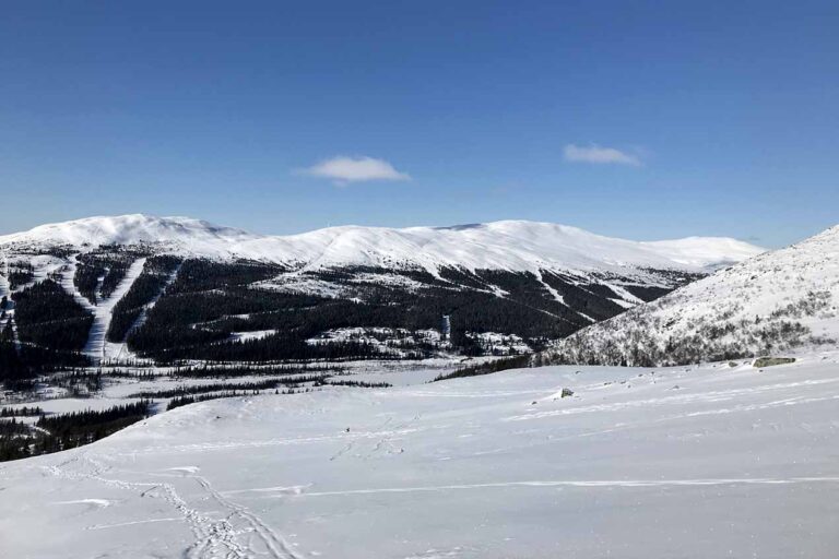 Läs mer om artikeln 364: Överblick (95/365)