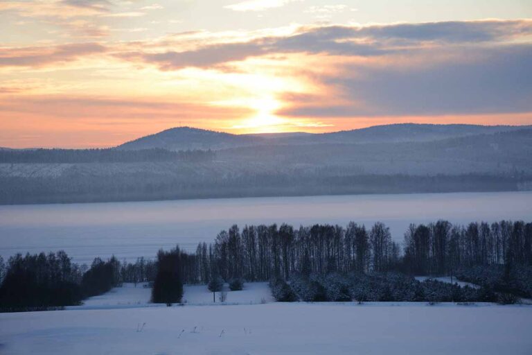 Läs mer om artikeln 54: En sista solglimt (6/365)