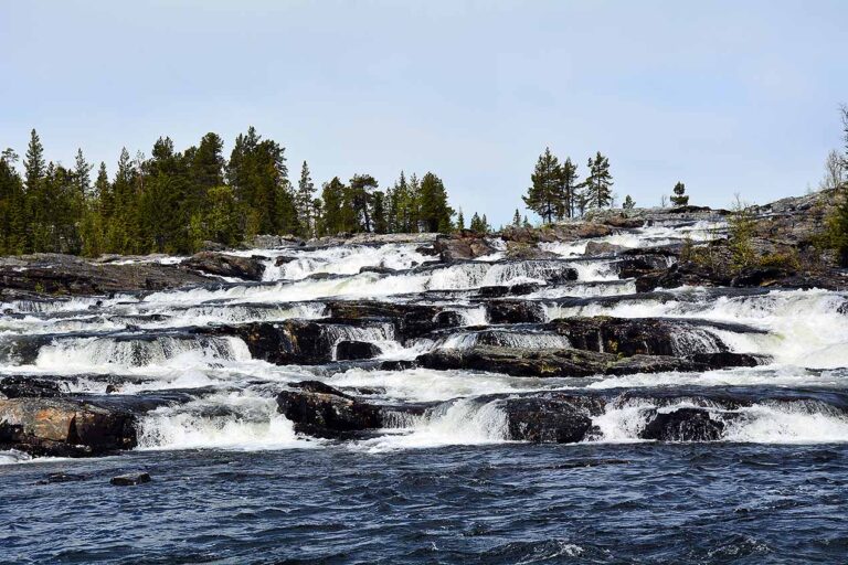 Läs mer om artikeln 89: Forsande (82/365)