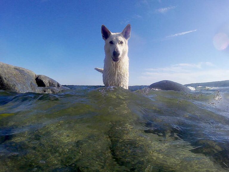 Läs mer om artikeln 198: När jag kysste havet (202/365)