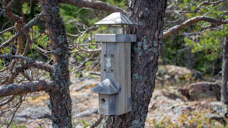 Läs mer om artikeln Geocachingbyggen