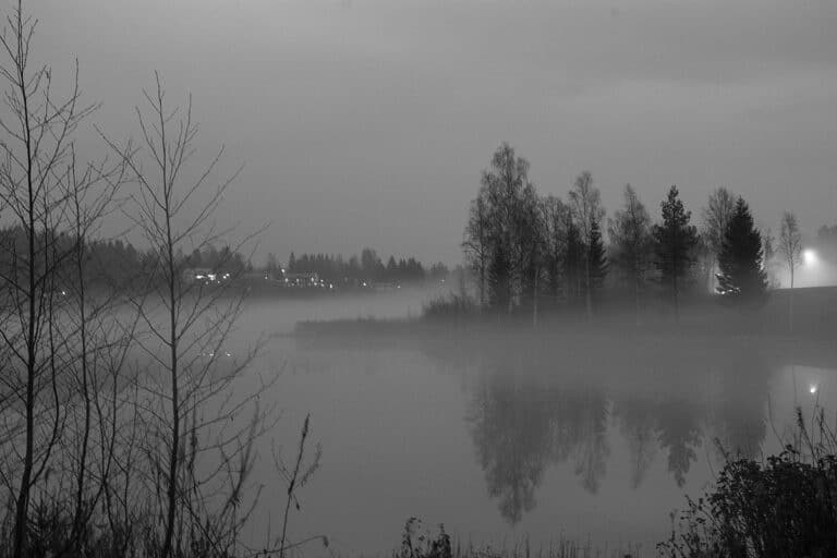 Läs mer om artikeln 123: I svartvitt (323/365)