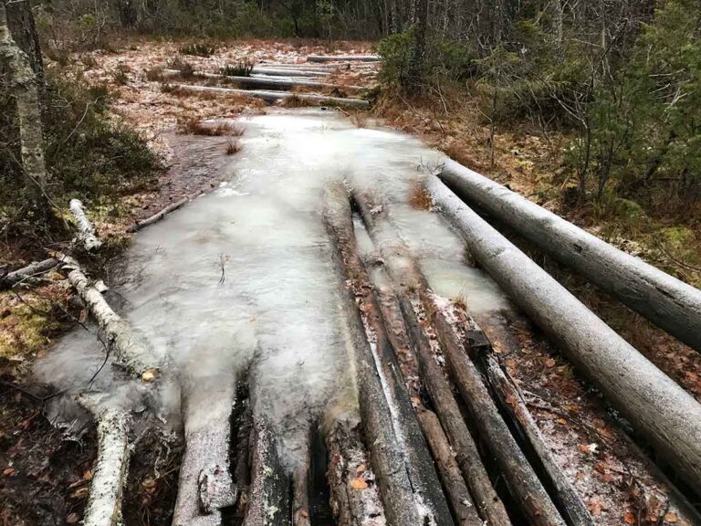 Läs mer om artikeln 132: Isgata (320/365)