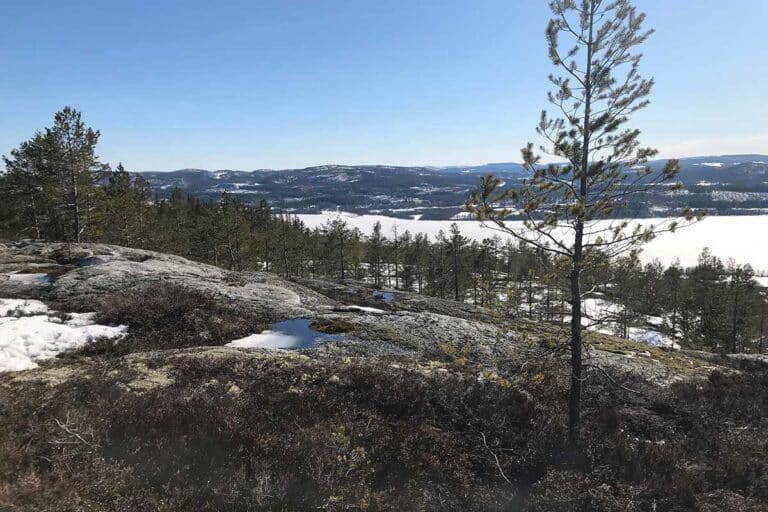 Läs mer om artikeln Bar mark!