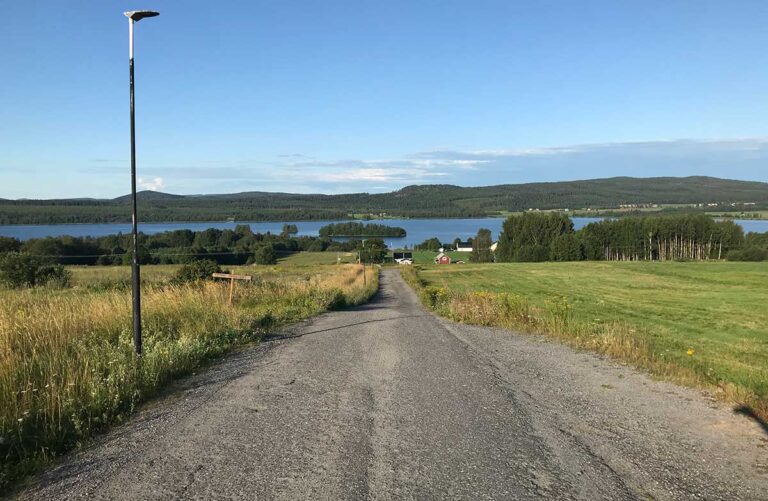 Läs mer om artikeln Min vardagliga promenadrunda