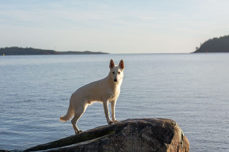 Läs mer om artikeln Kalla vatten