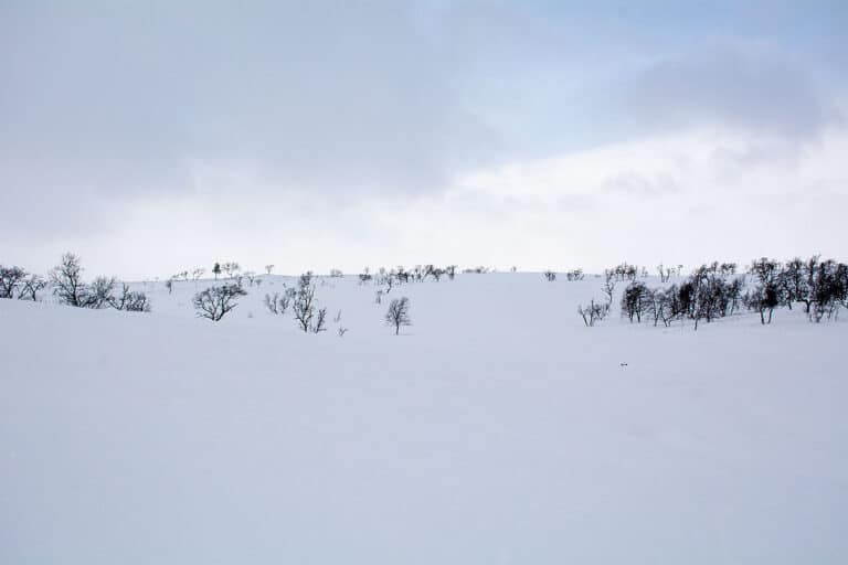 Läs mer om artikeln 337: Var är jag nu? (52/183)