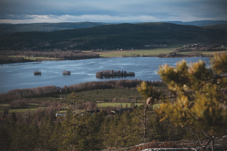 Läs mer om artikeln 258: Sedd från ovan (122/183)