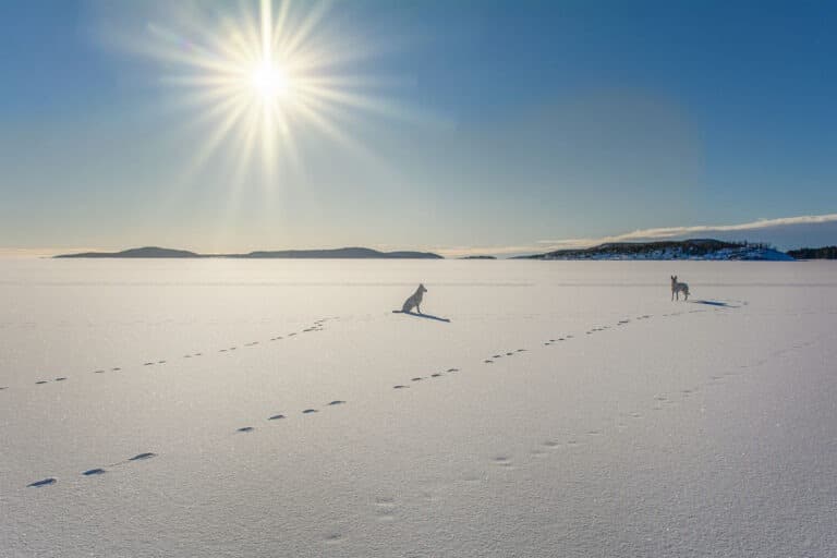 Läs mer om artikeln 251: På fruset vatten (23/180)