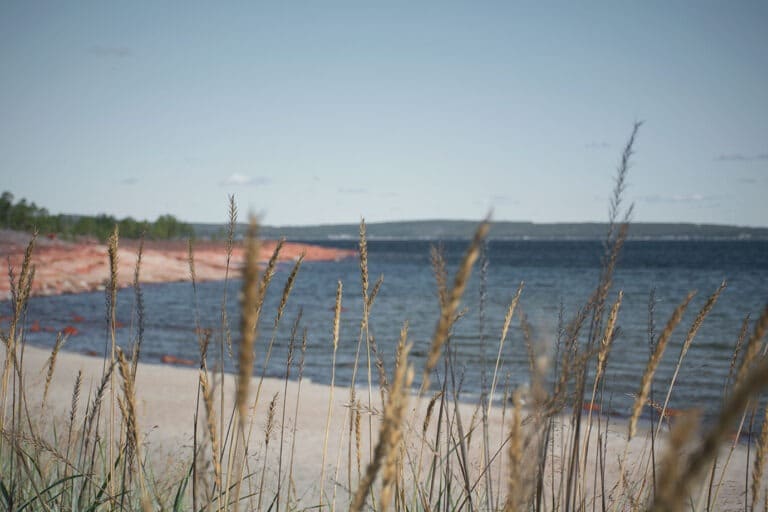 Läs mer om artikeln Björnviken, Trysunda