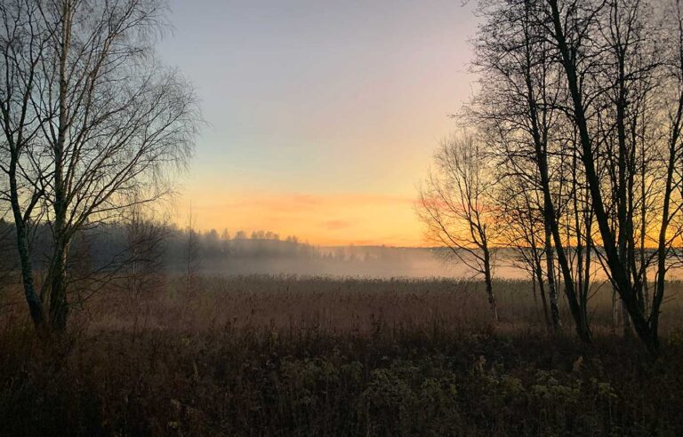 Läs mer om artikeln Fem en fredag v 43: Ord