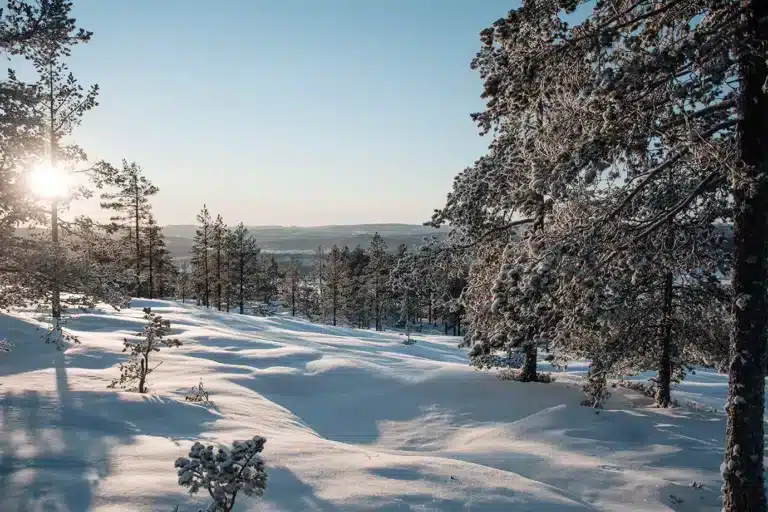 Läs mer om artikeln 358: Winter wonderland (26/180)