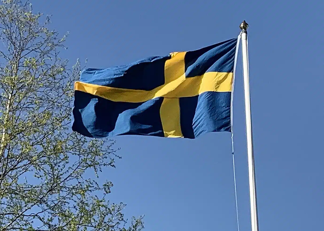 Du visar för närvarande 297: Svenska flaggans färger (37/180)