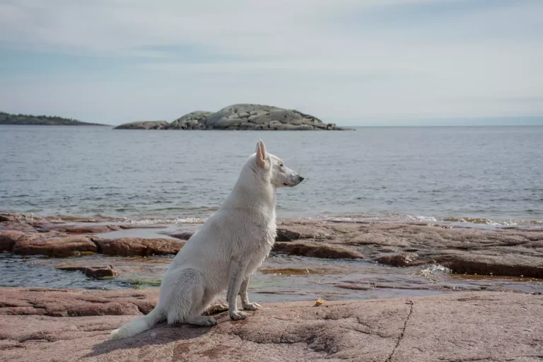 Läs mer om artikeln 117: Håller koll (85/180)