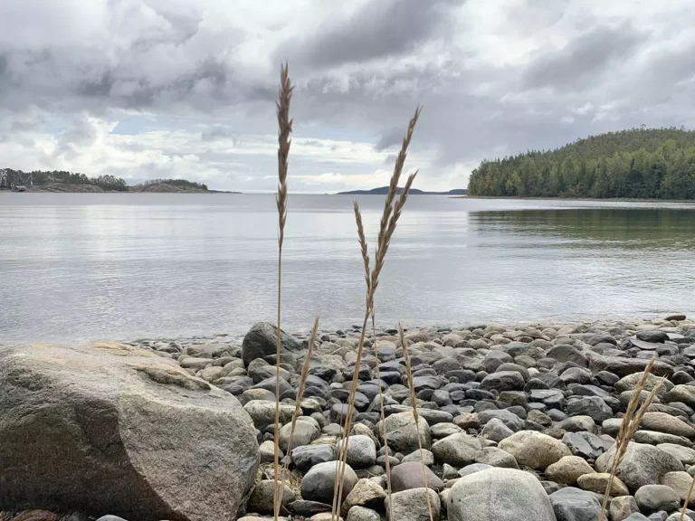 Läs mer om artikeln 294: Strå (134/180)