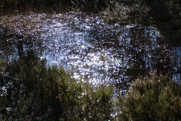 Läs mer om artikeln 32: Bubble bokeh (151/180)