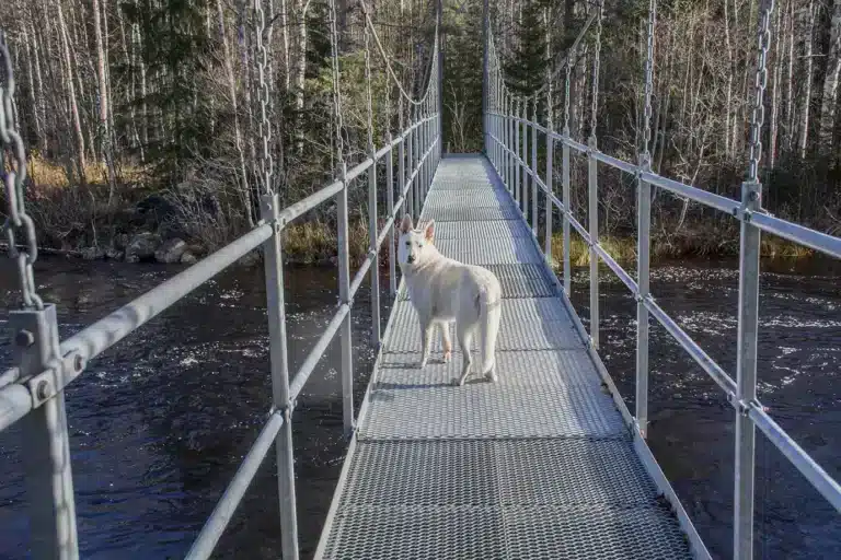 Läs mer om artikeln 365: Övergång (158/180)