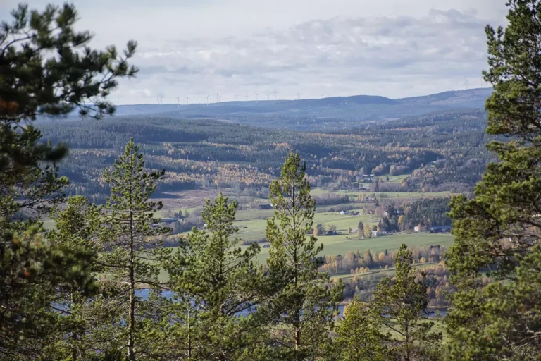 Läs mer om artikeln Eget tema 10: I fjärran (153/180)