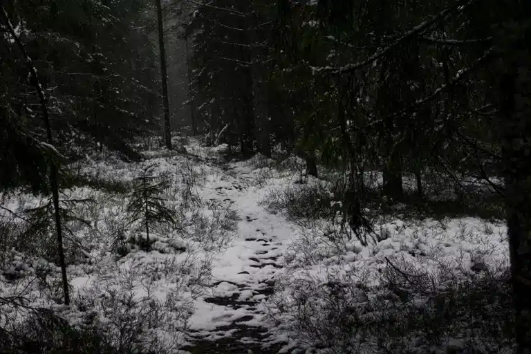 Läs mer om artikeln Fem en fredag v. 45: Mörker