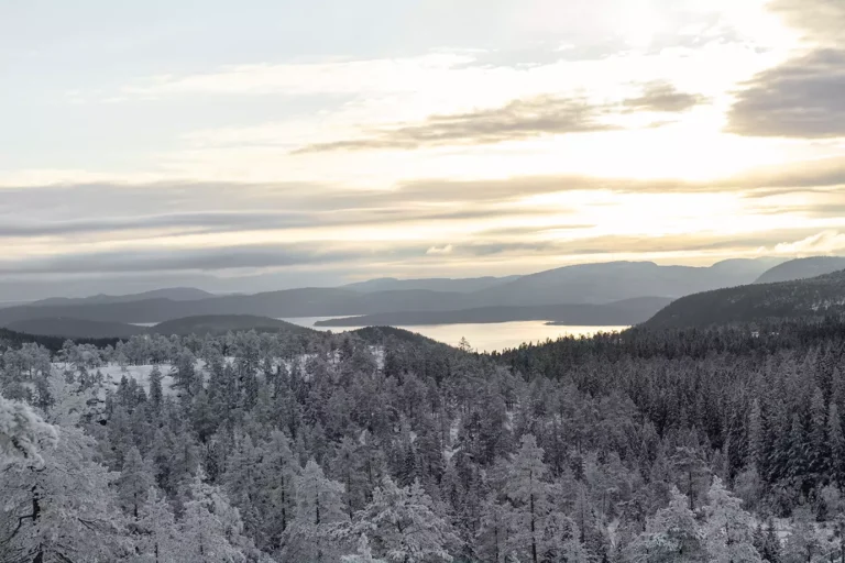 Läs mer om artikeln Eget tema 13: En utsikt (172/180)