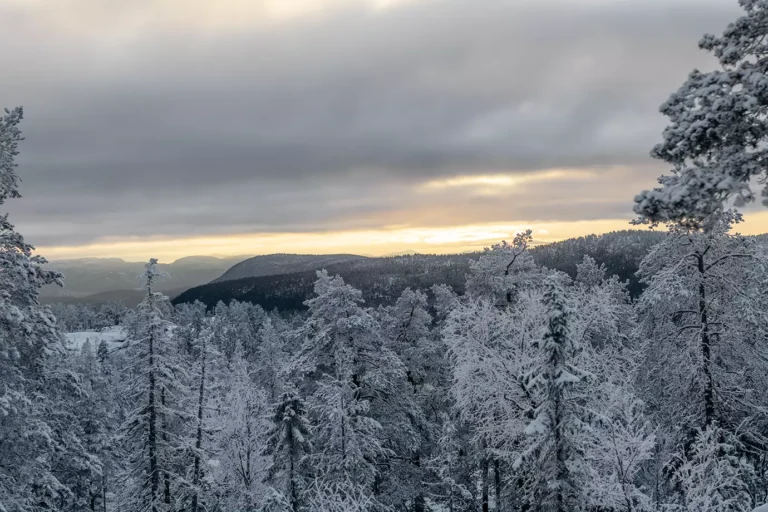 Läs mer om artikeln Eget tema 17: Dramatiskt landskap (177/180)